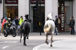 The royal mad horse suddenly ran amok in the streets of London